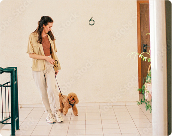 Woman clipping the lead on her dog at a sunlit front door